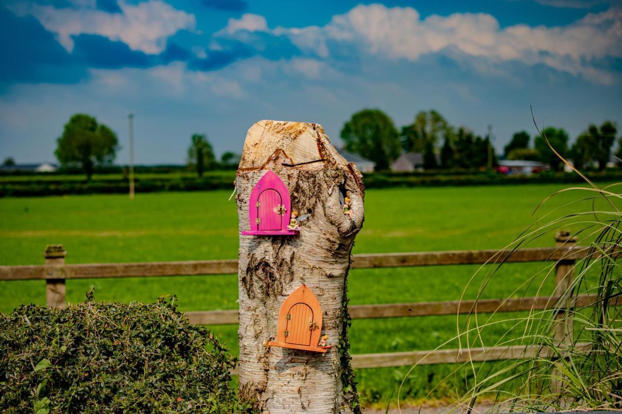 The Ring Farmhouse Birr Eksteriør bilde