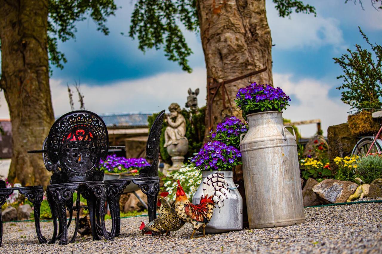 The Ring Farmhouse Birr Eksteriør bilde